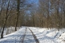 forêt de Montpensier, GR 463